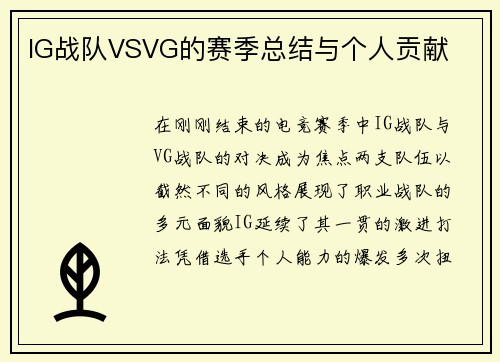 IG战队VSVG的赛季总结与个人贡献
